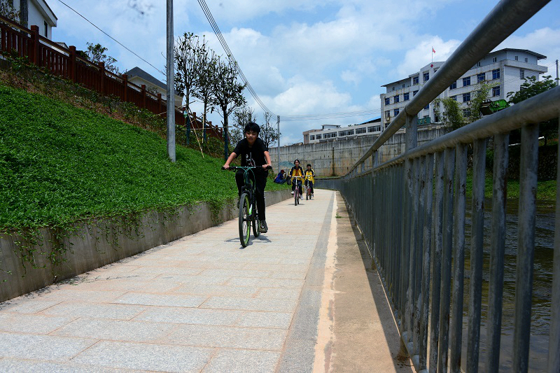 生態騎行綠道--蘇華康攝.JPG