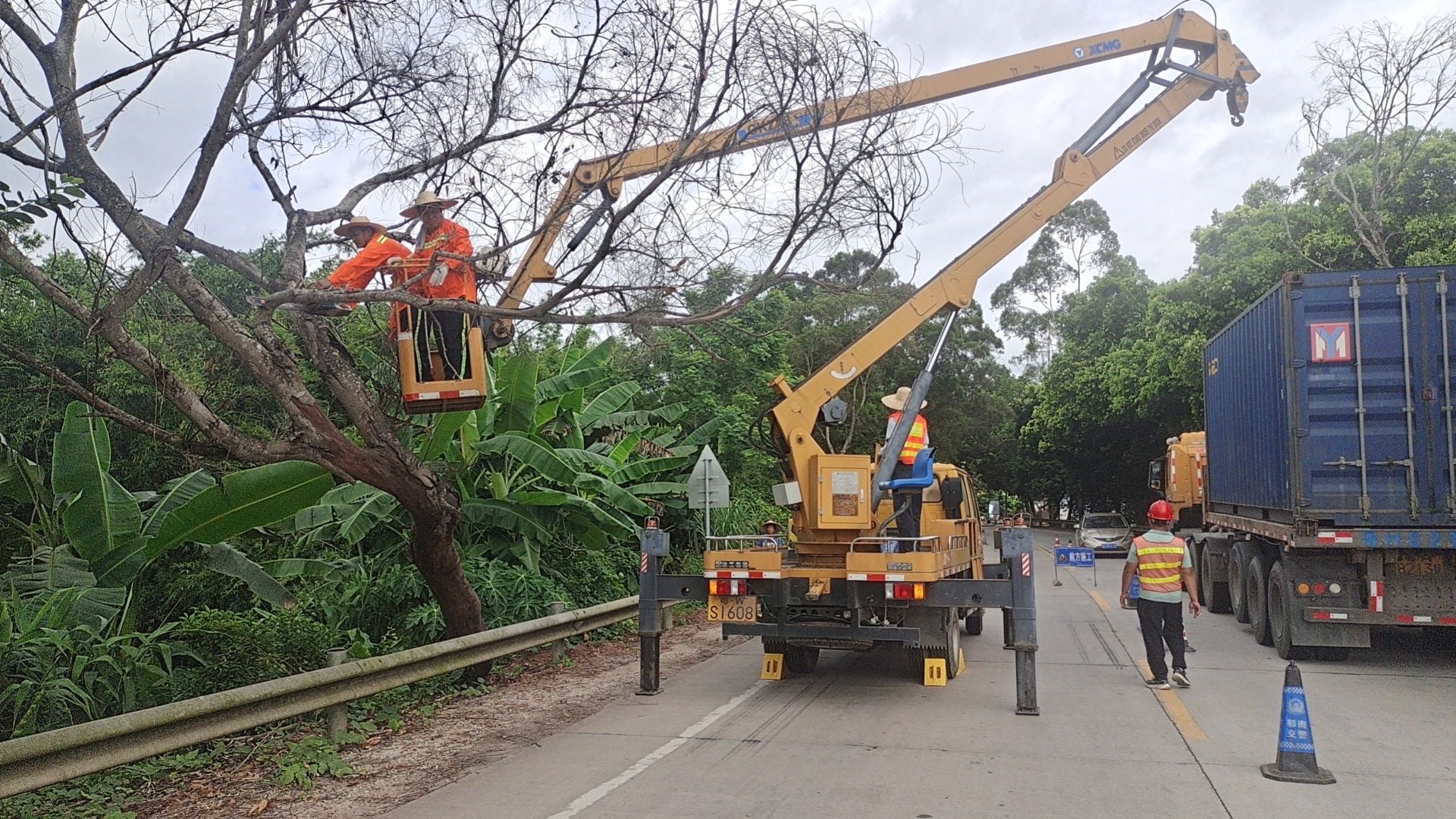 郁南縣公路事務(wù)中心未雨綢繆防臺風(fēng)清理危樹除隱患（新）(1)（副本）.doc_1