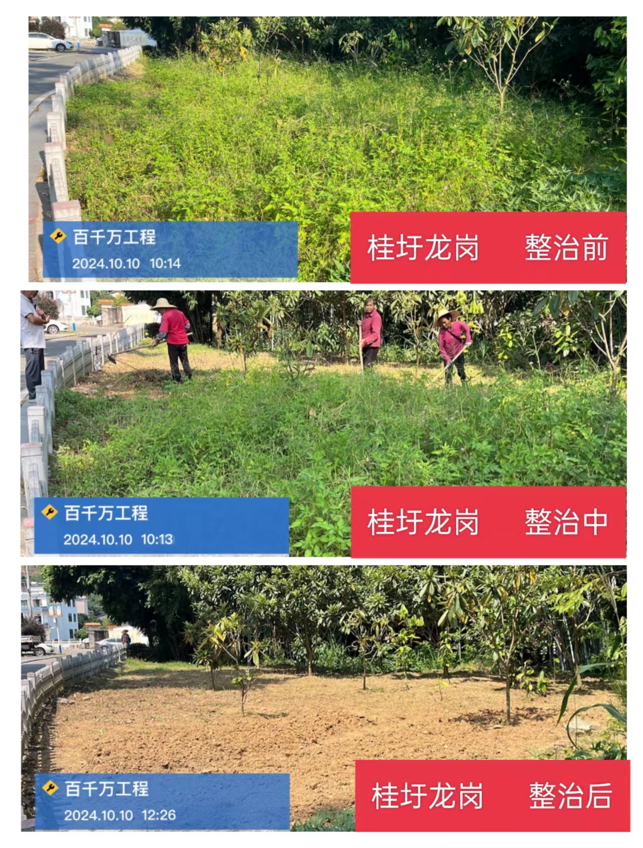 整治前中后對比圖.jpg